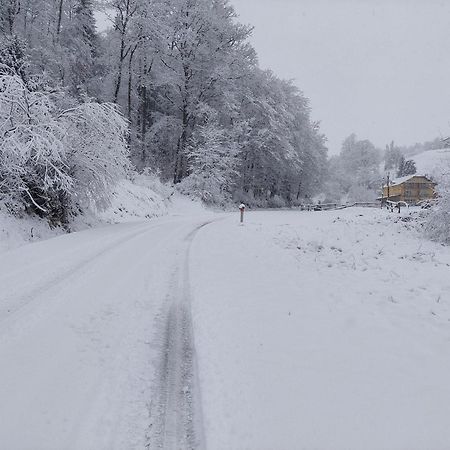 Zelena Oaza Bed and Breakfast Zgornja Kungota Εξωτερικό φωτογραφία
