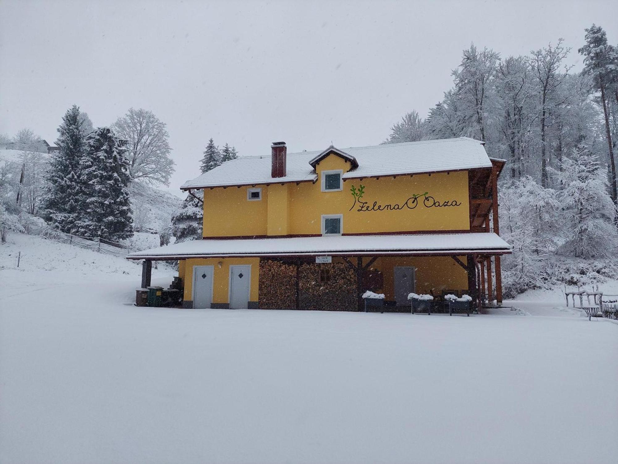 Zelena Oaza Bed and Breakfast Zgornja Kungota Εξωτερικό φωτογραφία