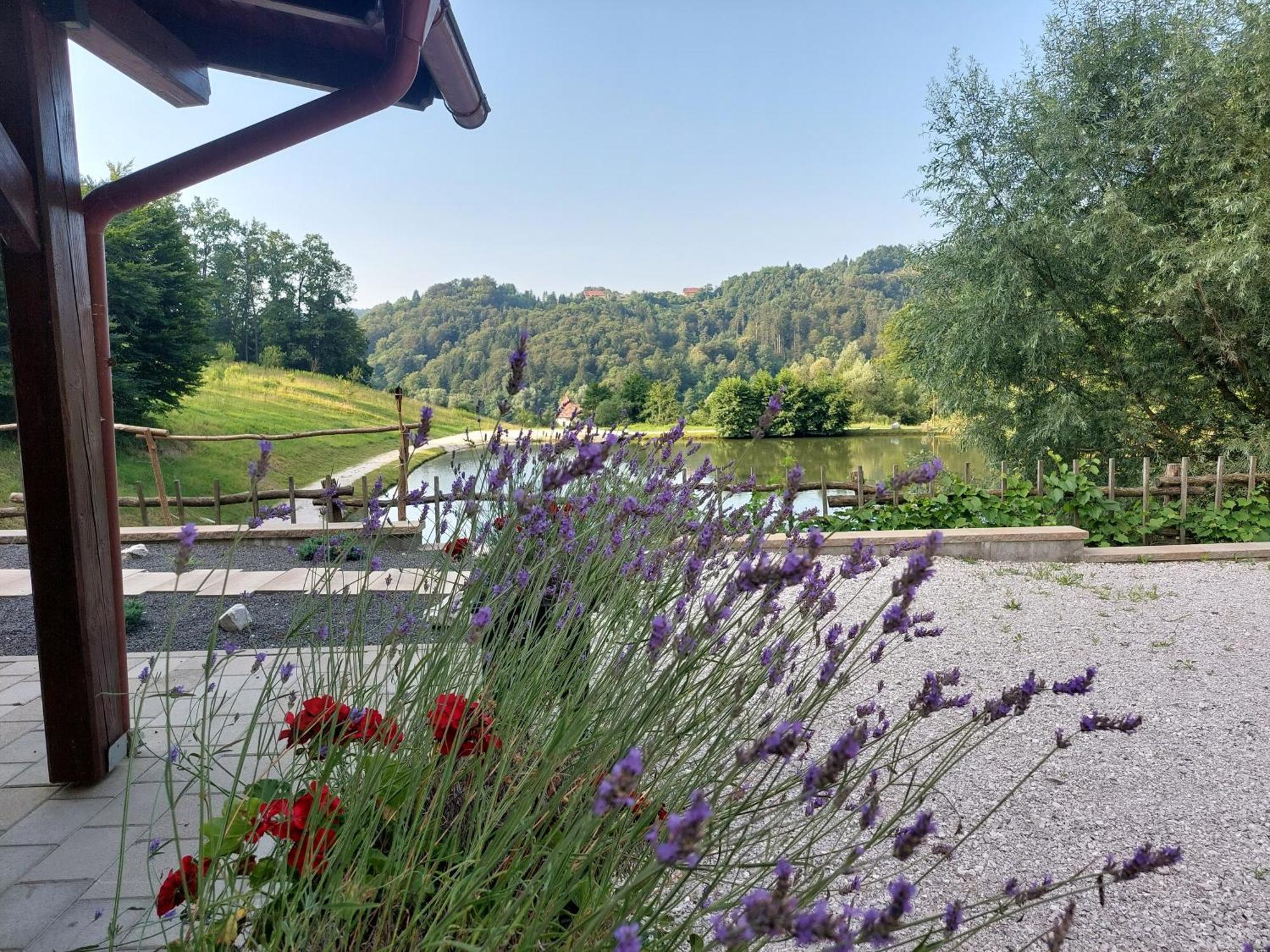 Zelena Oaza Bed and Breakfast Zgornja Kungota Εξωτερικό φωτογραφία
